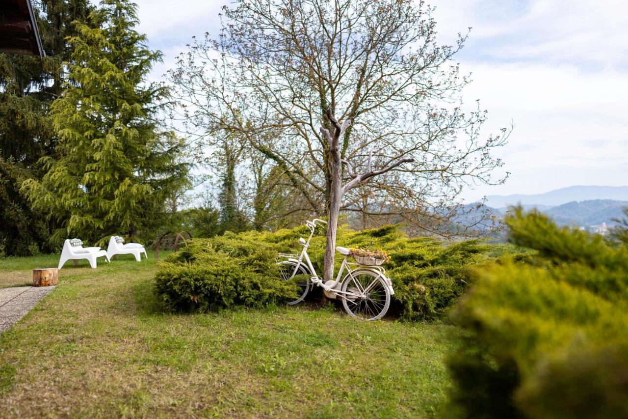 Apartment Villa Ema Krapinske Toplice Eksteriør bilde